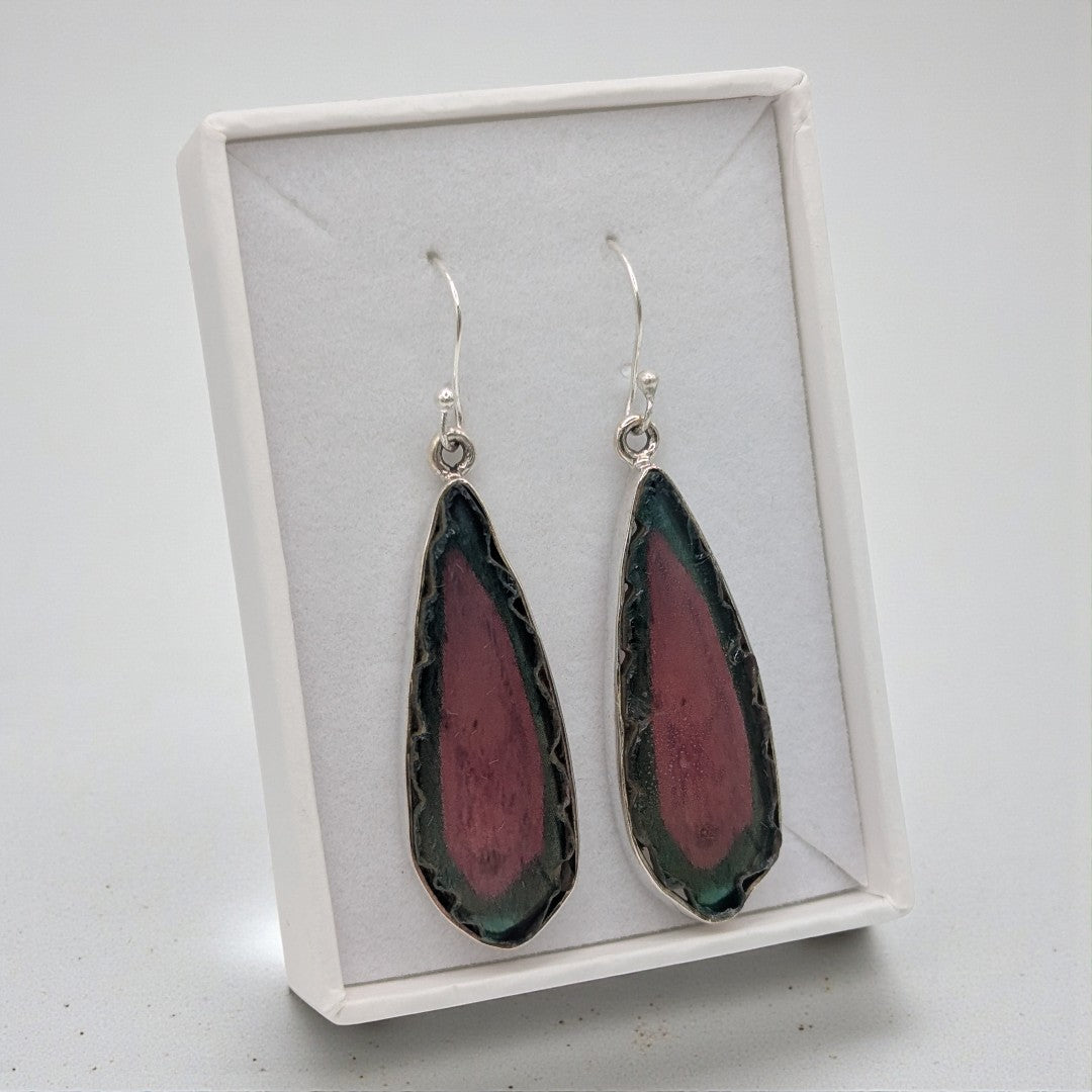 watermelon-tourmaline-earrings-sterling-silver